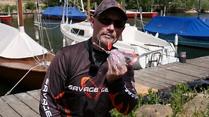 1.6K views · 30 reactions | Mit diesem simplen #Spinnerbait #TUNING ☝️ Trick könnt ihr eure Spinnerbaits auch an der Stationärrolle vor Verwicklungen  beim Auswerfen schützen! Probiert's mal aus und lasst uns in den Kommentaren wissen, wenn ihr weitere  Tipps und Ideen zum #SpinnerbaitTuning habt. Tight Lines, euer Savage Gear Team #DaBush #SavageGear #PinkFlash #Spinnerbaits | Savage Gear Deutschland | Facebook