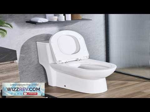 VEVOR One Piece Toilet Elongated Toilet Vortex Dual Flush 1.1 1.6 GPF Toilets for Bathroom