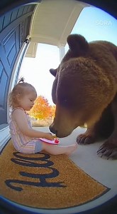 You have to see this to believe it! This was taken during a ride on [Insert Road Name if known, e.g., Pacific Coast Highway or a specific mountain pass]. We rode straight into what looked like a literal apocalyptic plume of smoke/dust, and then BAM—the road opened up to the most beautiful, vibrant ocean vista. #motorcyclelife #harleydavidson #cruise #gopro #roadtrip #scenicroute #california #coastline #pov #cinematic #motorcycle #smokecloud #oceanview #transition #unreal #viralvideo #epicride | 