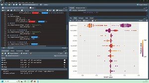 XGboost和LightGBM机器学习算法特征重要性排名和 SHAP 汇总图