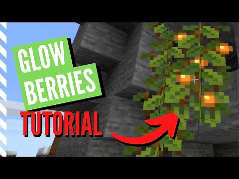 All About GLOW BERRIES In Minecraft 1.17+