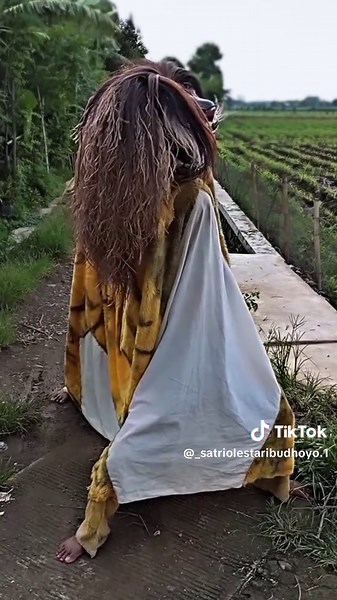 Kumpulan Video Barongan Jawa: Comeback Performance