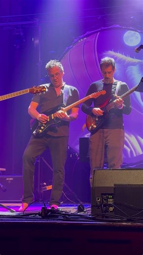 The Floyd Concept - Dogs (guitar solo)