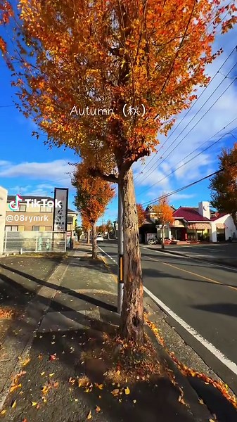 Exploring Japan's Four Seasons: A Visual Journey