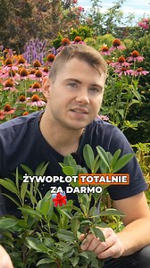🌱 Laurowiśnia – elegancki, zimozielony krzew, który możesz łatwo rozmnożyć samodzielnie! 😍 Dowiedz się, jak przygotować sadzonki i cieszyć się nowymi roślinami zupełnie za darmo 💸✨ #podlewane #CentrumOgrodniczeKatarzynka #laurowiśnia #rozmnażanieRoślin #ogrodoweDIY #ogrodbezkosztów #zimozielone | Podlewane.pl Internetowe Centrum Ogrodnicze