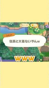 [Animal Crossing] Serious Bug Catching from a 2-Year Veteran