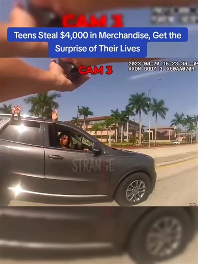 Teens Steal $4,000 in Merchandise, Get the Surprise of Their Lives #police #cops