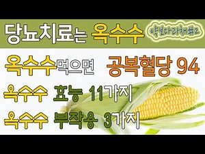 [약보다과채2] 당뇨치료는 옥수수/ 공복혈당 94/ 옥수수 효능 11가지와 부작용 3가지/ 옥수수 고르는 방법과 보관 방법/ 옥수수 꿀팁/ 옥수수 당뇨치료