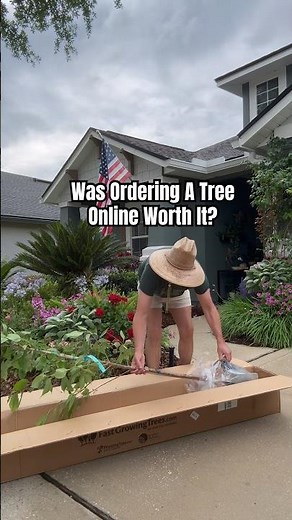 My Kwanzan Cherry Tree Finally Arrived 🌸📦 | Fast Growing Trees Unboxing Review