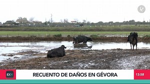 En Gévora hoy es día para evaluar los daños 🟥DIRECTO TV, Web y App https://www.canalextremadura.app/videos/182630-television-en-directo | Canal Extremadura