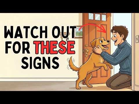 10 Things Your Dog Wants You To Do But Can’t Tell You