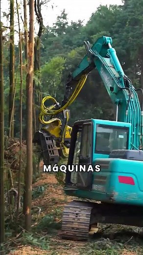 Why are farmers destroying trees?