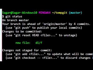 How to ignore entire directory in git