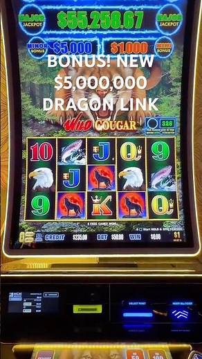 I HIT A BONUS ON THE NEW $5M DRAGON LINK MACHINE! BIGGEST SPINS OF MY LIFE!