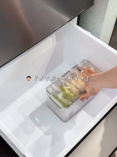冷凍庫・冷蔵庫の収納アイデア｜立てるだけで見つかる整理術