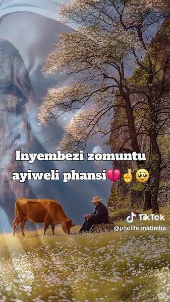 INDUMISO INAMANDLA 🎤🎺🎻 (@pholile.matimba)’s videos with original sound - KhethukuthulaMpanza