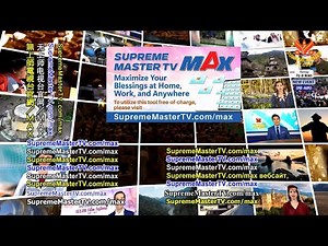 Supreme Master Ching Hai advised that use SMTV MAX | Forty Quadrillion Screens of Light