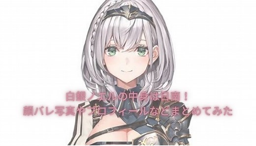 白銀ノエルの中身は日南！顔バレ写真やプロフィールなどまとめてみた