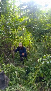 Rvr Banlag Corp Tree Planting | Honey Calingasan