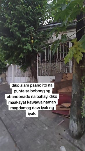 Cats in Abandoned Houses: A Stray's Cry for Help