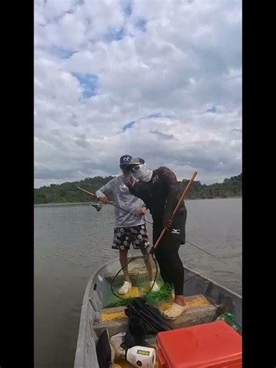 Giant Snakehead Topwater Explosion | Malaysia’s Hardest Hitting Freshwater Predator