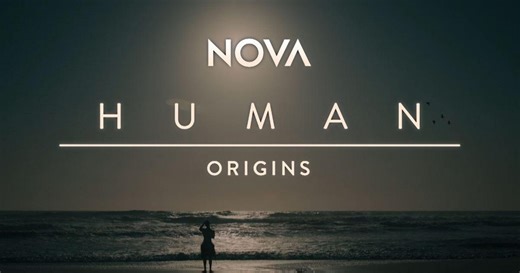 WUCF Previews:Nova: Human Origins | Preview