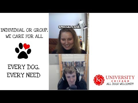 How K9 University Meets Every Dog’s Unique Needs | K9 University Chicago