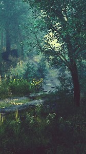 old wooden fence and hiking path through forest