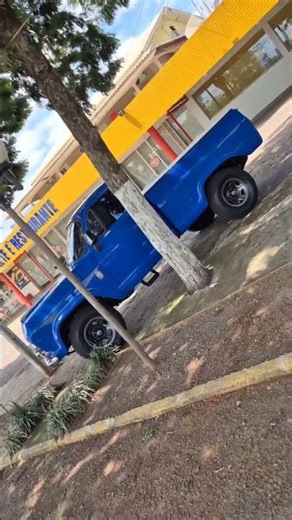 Chevrolet C10 with MWM 6-cylinder engine, suspension and tires #chevrolet #gm #c10 #mwm #diesel #...