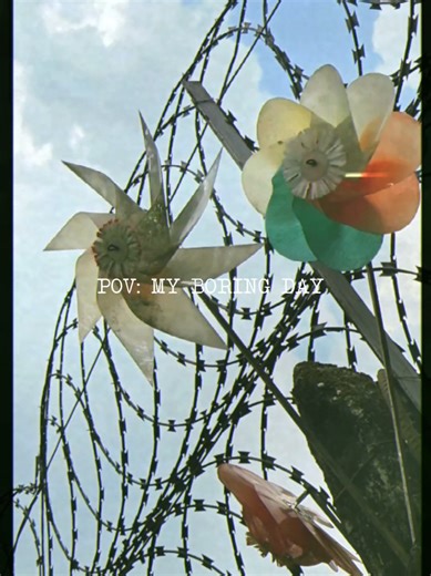 A Glimpse into My Boring Day