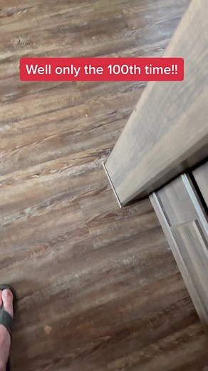 Getting a 100 lb Great Dane from under your bed!! #underbed #really #100times #fyp #rescue #safety #doglife #forsale #foryou #dogownerlife #whatidealwith #brat #fy