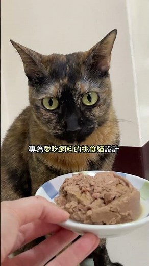 【怪獸部落】乾飼料補水｜主食罐-開胃罐