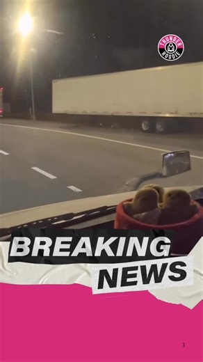 Thunder Hoodie News on Instagram: "ICE has launched large‑scale inspections of tractor‑trailers at state border crossings. Footage from the Florida–Georgia line shows rows of empty trailers after drivers were detained for allegedly failing to meet federal English‑language requirements for commercial operators."