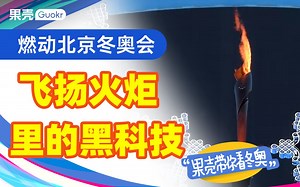 火炬的外壳竟然是“织”出来的，揭秘“飞扬”背后的黑科技！