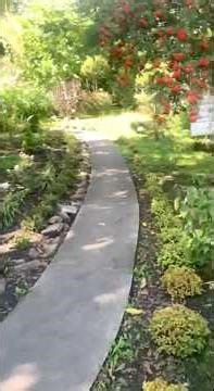 Atmospheric Walk 🌿 Altai Hills