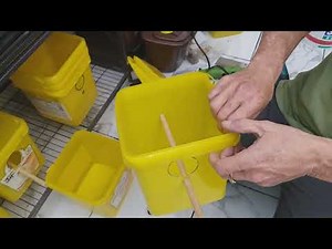 diy plastic bird nest box for breeding budgies how to make a bird breeding box cheap and simple 👀😁👍