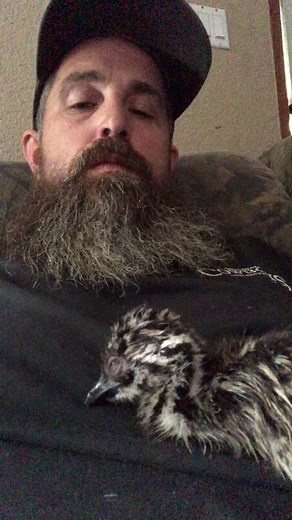 Name Reveal: Help Aubrey Name This Cute Baby Emu! 🥰