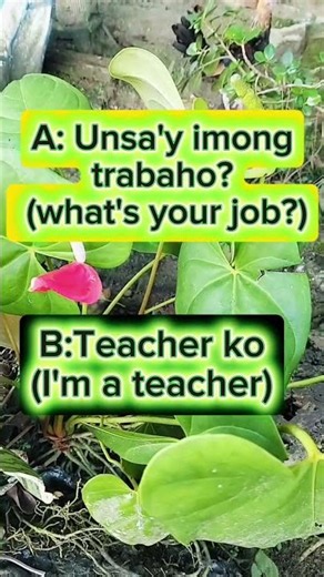 How to say 'What's your Job' in Cebuano# language tutorial #philippineslanguage