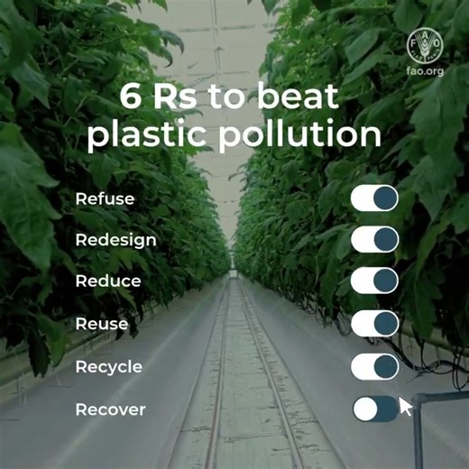 🎥 | FAO Tackling plastic pollution in agriculture starts with the 6Rs: 🙅‍ Refuse 💡 Redesign 📉 Reduce 🔁 Reuse ♻️ Recycle 🌱 Recover Every step matters to #BeatPlasticPollution . | United Nations Iraq