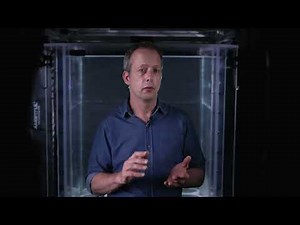 Fluid Dynamics in Practice: Applications to Real-World Challenges