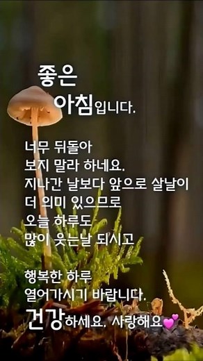 좋은 아침을 여는 인사,#명언 #삶의지혜 #아침인사 #좋은글 #명언 #긍정의말 #삶의지혜