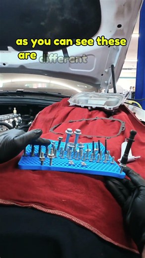 The orginal BOLTSTER! 🔩 Flexible / Durable fastener organizer BUILT TO LAST WORKSHOP READY