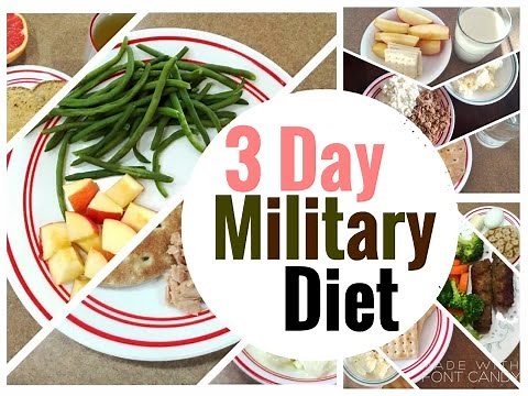 LOSE 10 POUNDS IN 3 DAYS?! | 3 Day Military Diet Vlog | Does it Work?! + My Experience and Results