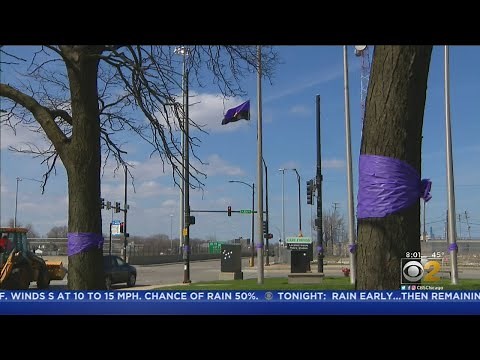 Second Chicago Police Officer Dies Of COVID-19