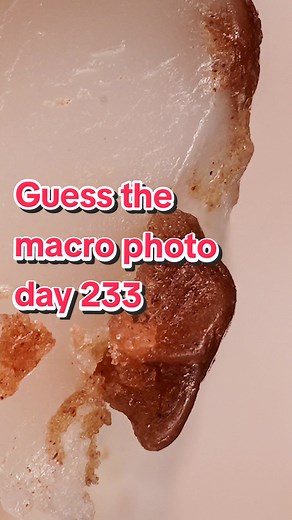 Guess the Macro Photo Day 233 - Macro Photography Challenge