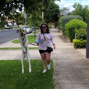 These dogs have some weird habits...😂🐶 | Tyla