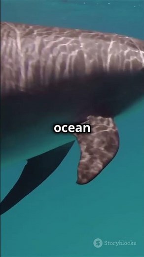 Echolocation: How Bats, Dolphins, and Other Animals See with Sound! #facts #AmazingFacts #Science