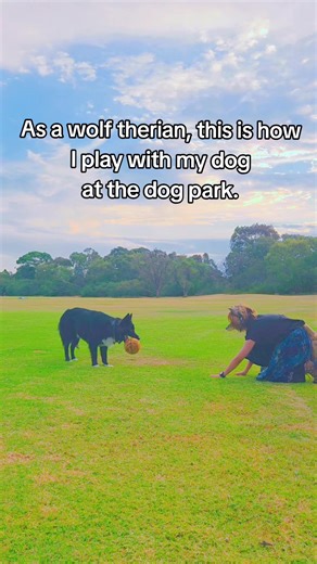 #Therian #dogparents #dog #quadrobics #doglover