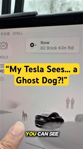 “Ghost Dog 👻🐶 or Tesla Glitch ⚡?! You Decide!”#ghost 👻 #tesla 🚗 #technology 💻 #car 🚘 #dog 🐕