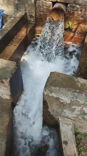 Deep tube-wells, water pumping to rice field #water #pump #crop #rice